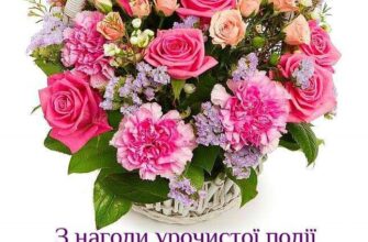 Привітання з отриманням диплому своїми словами: натхнення та поради