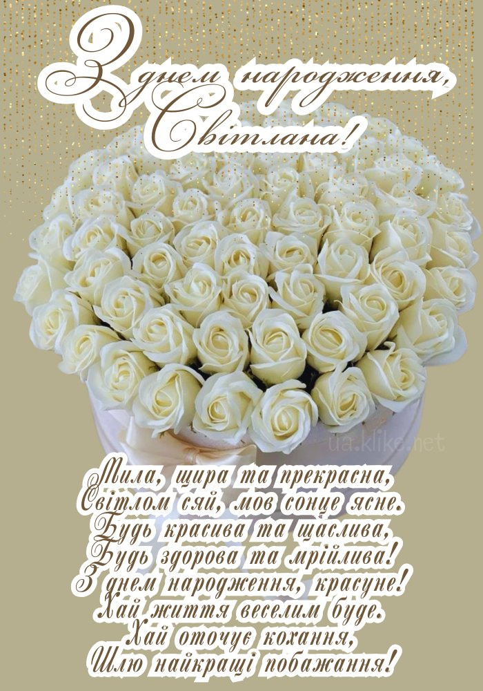 Світлана з друзями