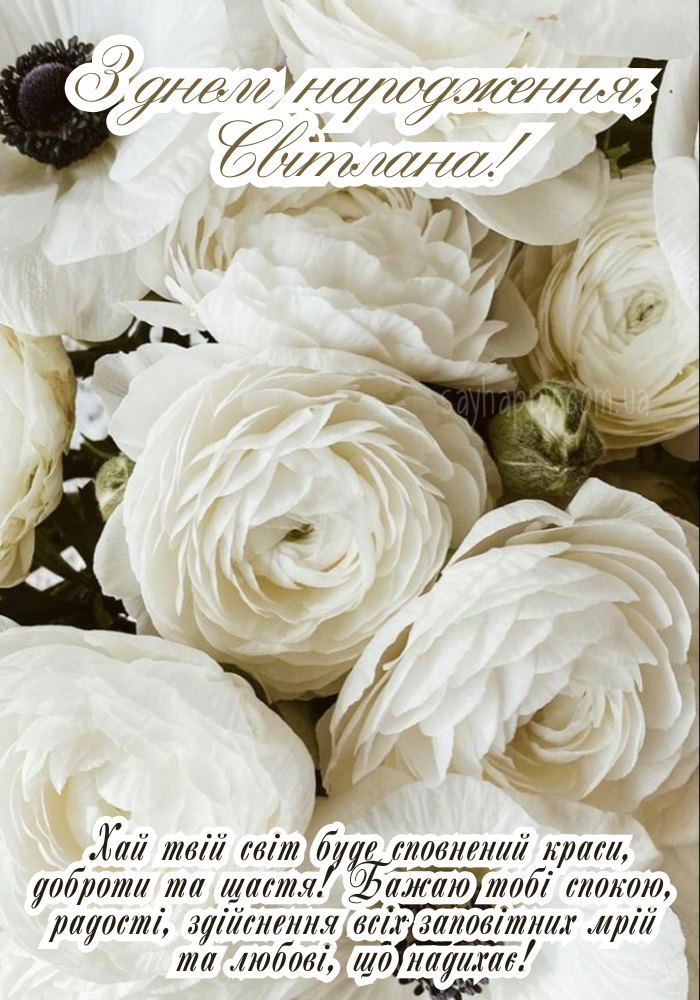 Світлана на вечірці