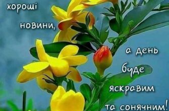 Привітання з середою: найкращі ідеї для позитивного настрою