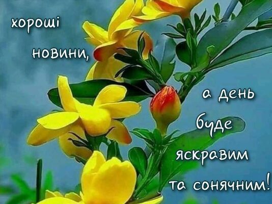 Привітання з середою: найкращі ідеї для позитивного настрою