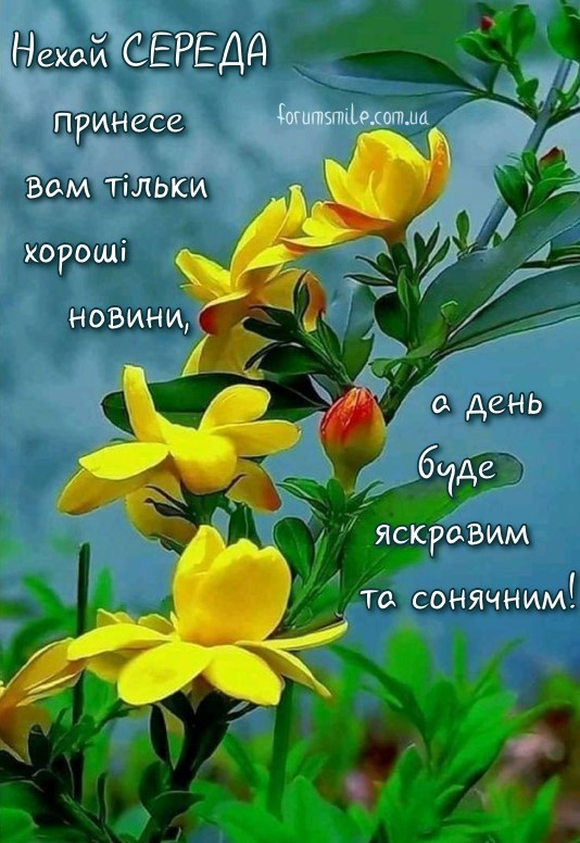 Середа фото