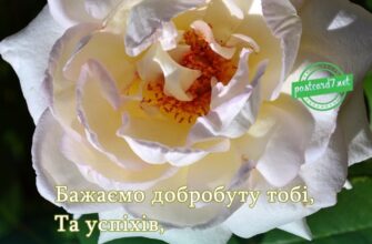 Привітання з Днем Народження Ірина: Найкращі слова й побажання