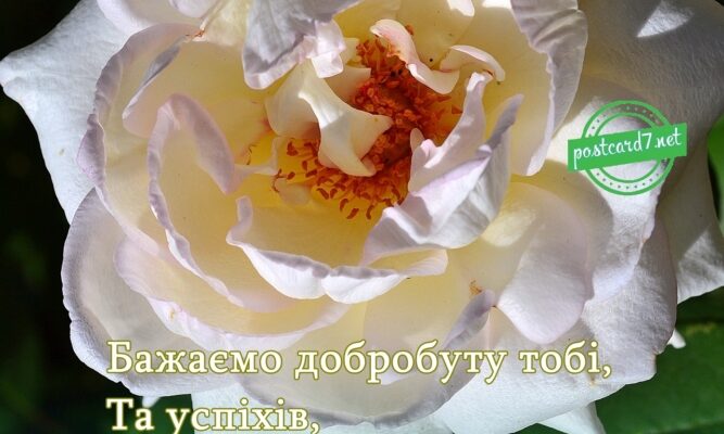 Привітання з Днем Народження Ірина: Найкращі слова й побажання