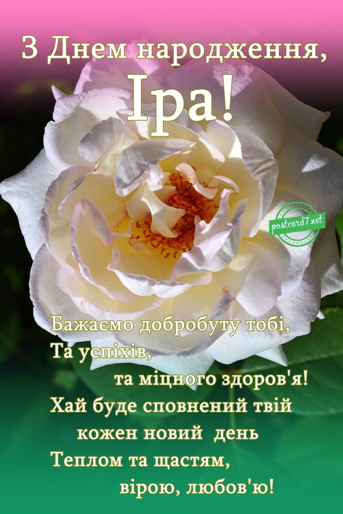 Святкова світлина Ірини