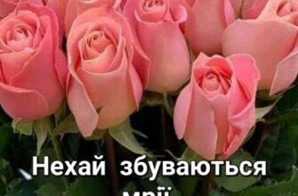 Привітання з днем народження: даруйте букет роз із любов’ю!