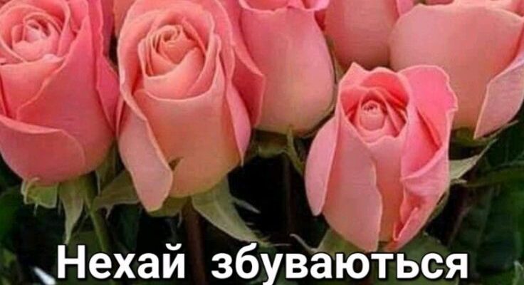 Привітання з днем народження: даруйте букет роз із любов’ю!