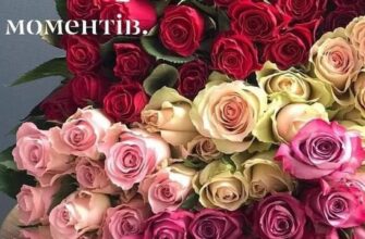 Скачати листівки з Днем Народження жінці: святкові привітання онлайн