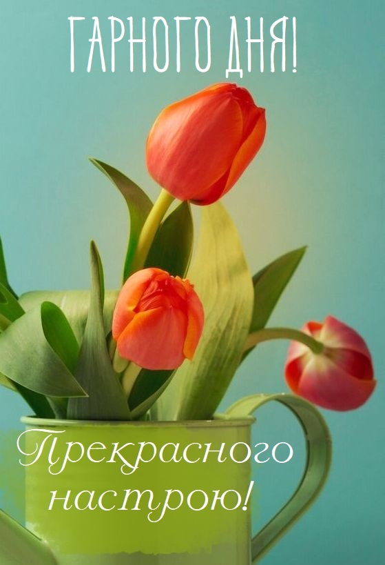 Фото усміхненої людини