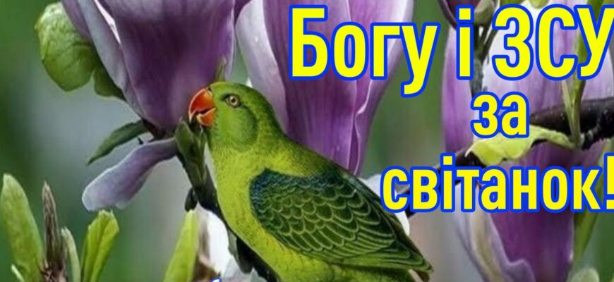 Листівки з побажаннями гарного дня: надихніть на позитив! Листівки з побажаннями гарного дня: надихніть на позитив!