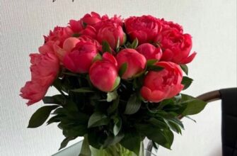 Картинки привітання з днем народження своїми словами: ідеї та натхнення