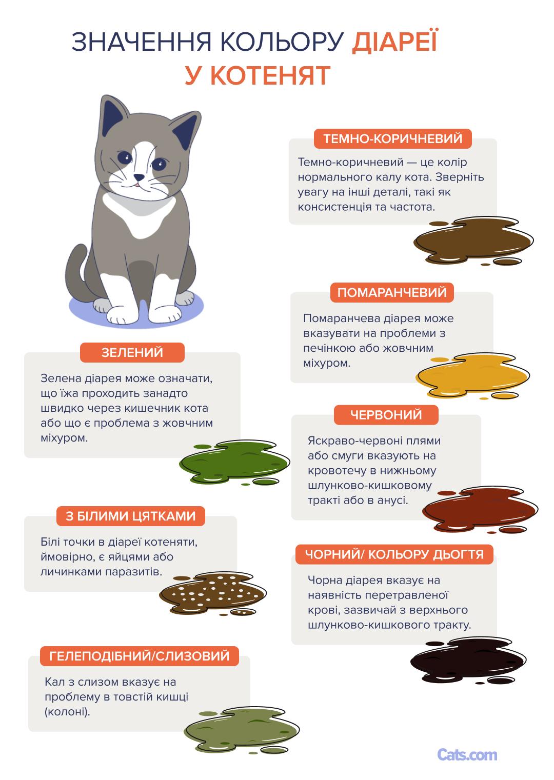 Кольорова таблиця діареї кошенят
