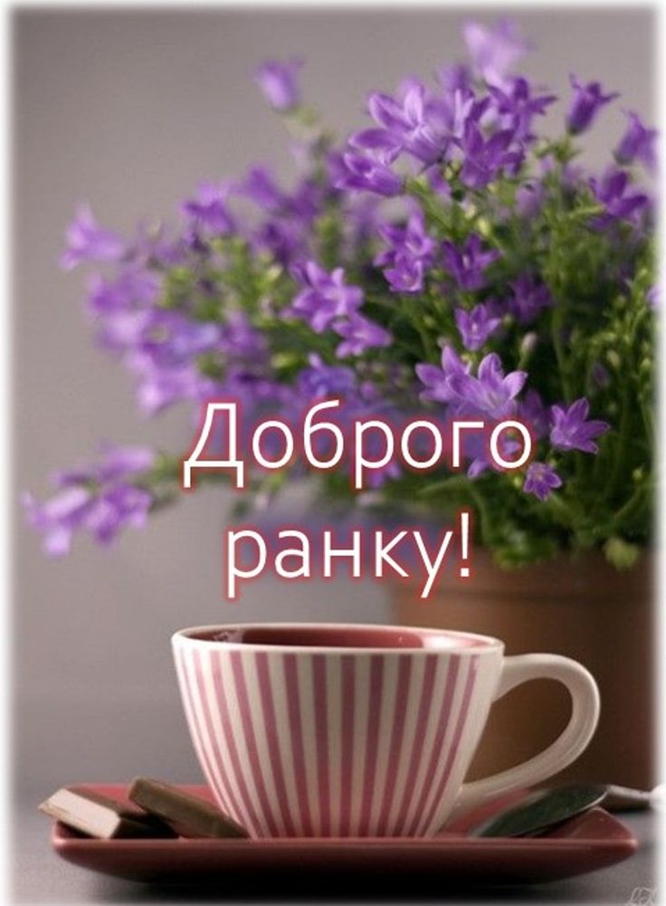 Світлина натхнення
