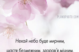 Створіть унікальну привітання з днем народження листівку: ідеї та поради
