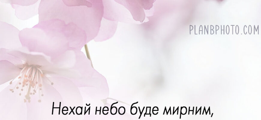 Створіть унікальну привітання з днем народження листівку: ідеї та поради