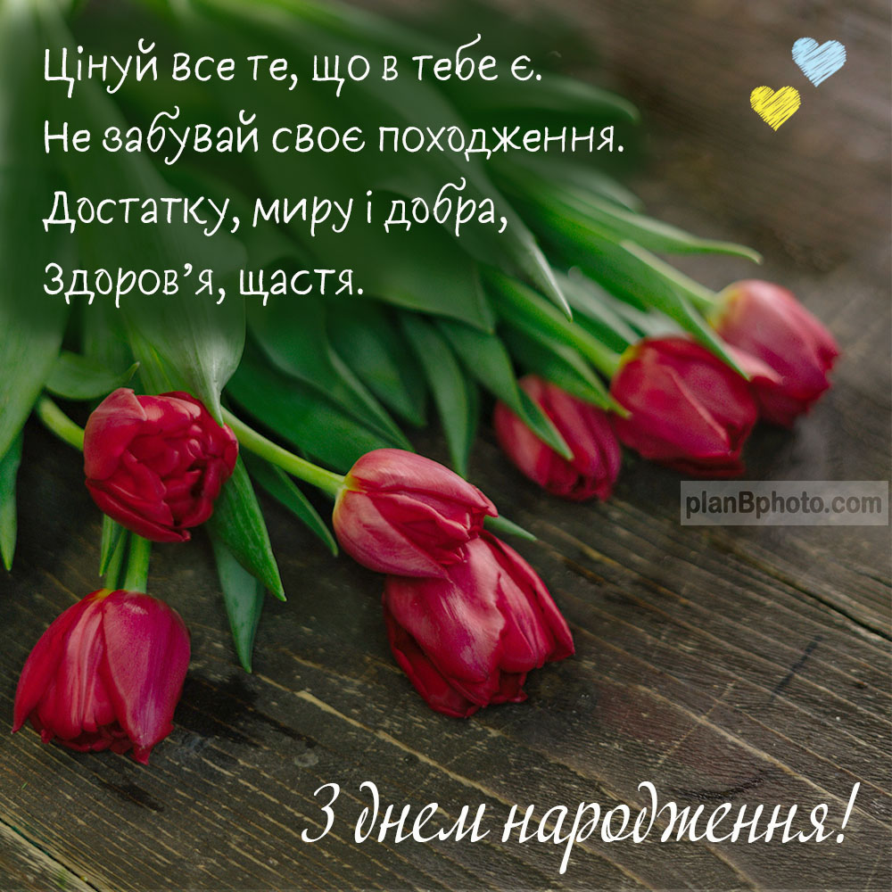 Листівка з тюльпанами