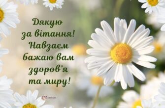 Скачати картинки Дякую за привітання: найкращі зображення тут!