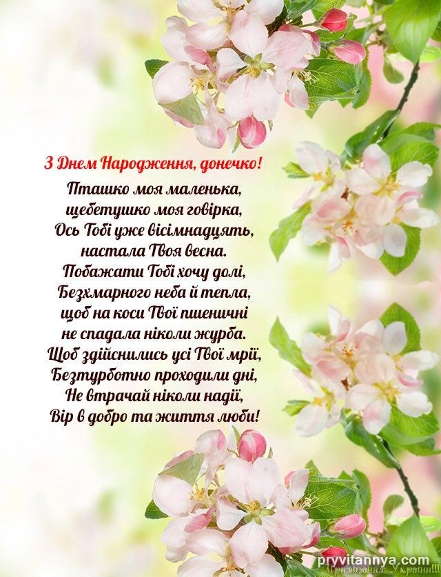 Фото донечки
