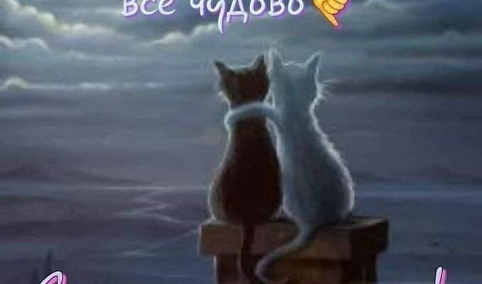 Листівки на добраніч: подаруйте близьким солодкі сни та тепло