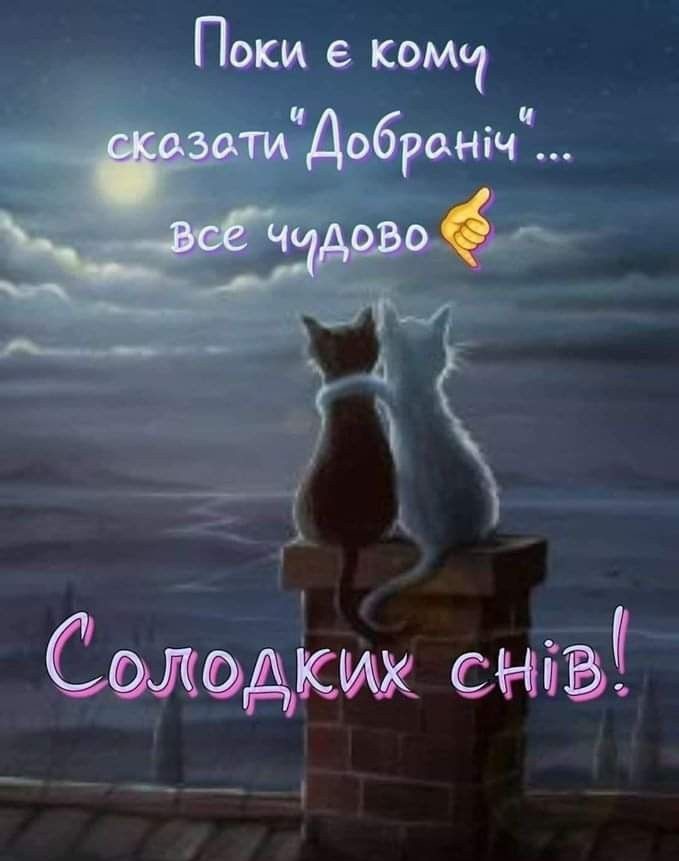 Good night landscape