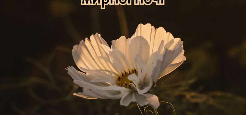 Листівки Доброї Ночі: Надішліть Теплі Побажання Перед Сном