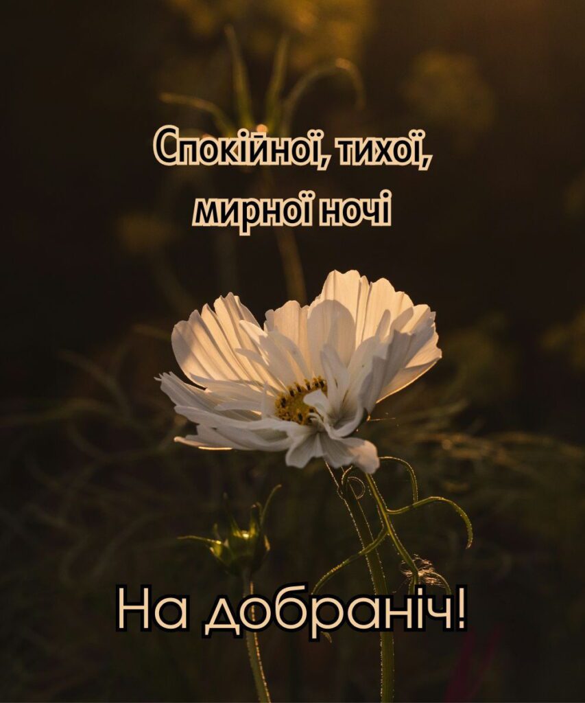 Фото нічного пейзажу