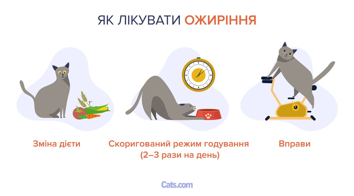 Як лікувати ожиріння