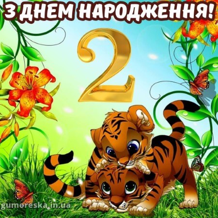 Радісна подорож