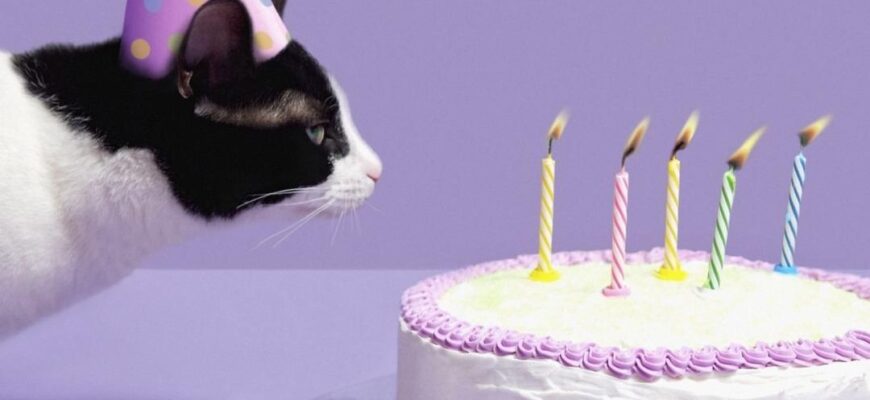 Привітання з 15 річчям своїми словами: унікальні та щирі побажання