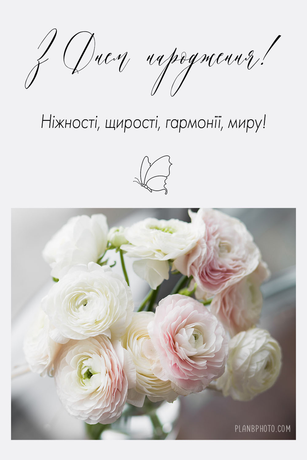 Ніжності і Миру