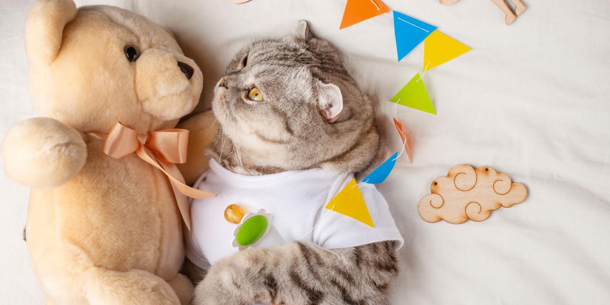 Котяче вухо