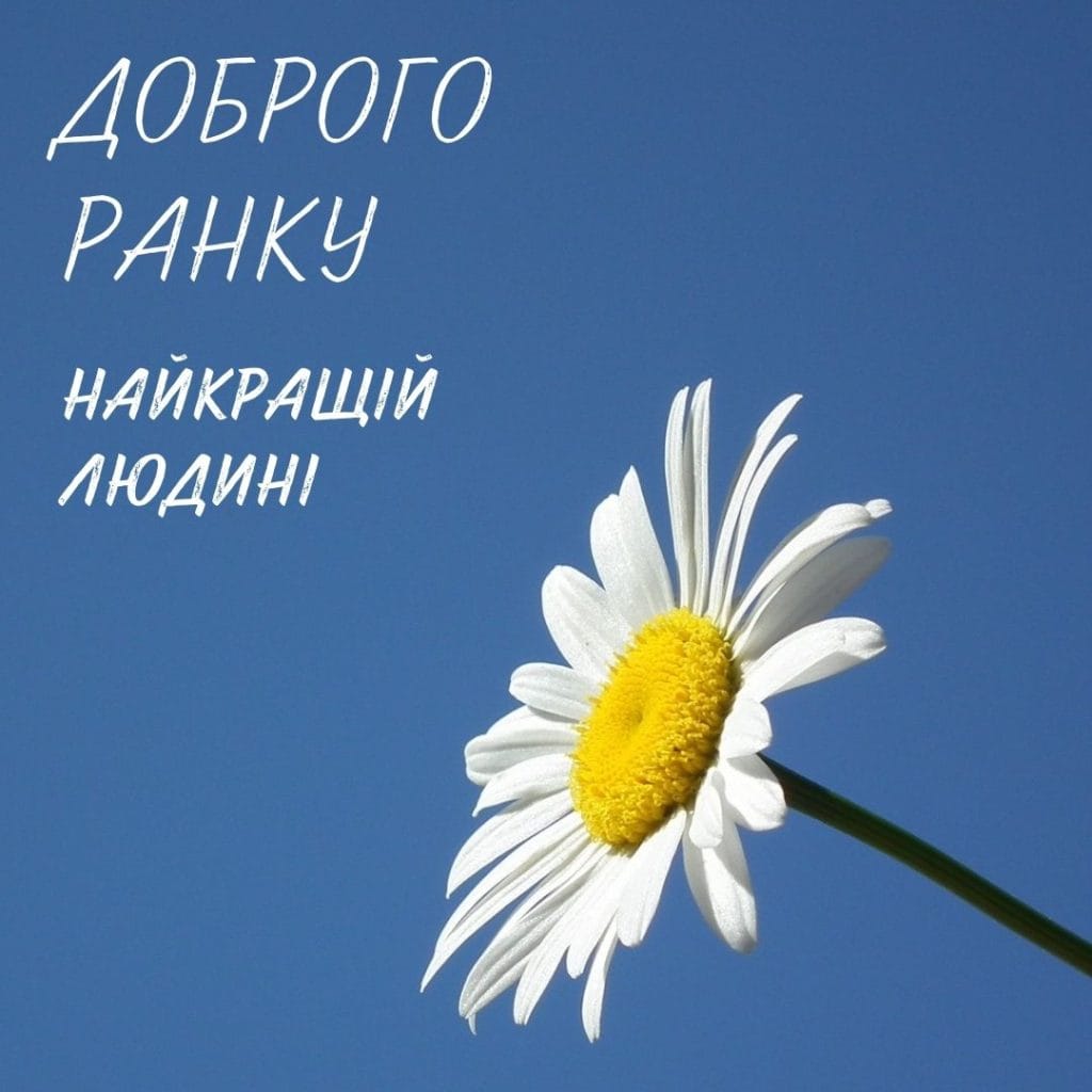 Кружка кави на фоні сонця