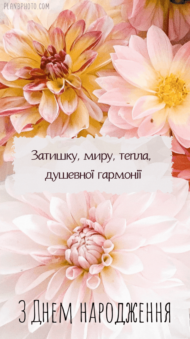 Привітання з днем народження