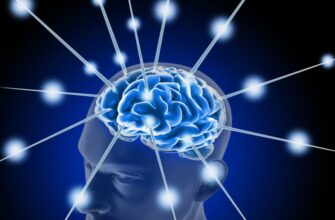 Що таке інтелект: розуміння, розвиток та його вплив на наше життя