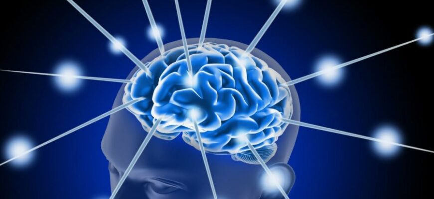 Що таке інтелект: розуміння, розвиток та його вплив на наше життя