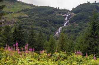 Що таке національний парк: особливості, значення та користь для природи