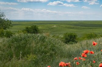Що таке Великий Луг: історія, значення та природна краса України