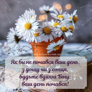 Вечірній затишок