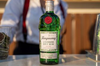 Що таке джин: історія, властивості та унікальні особливості напою