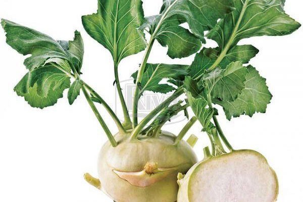 Що таке кольраби: корисні властивості та способи приготування овочу