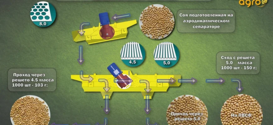 Що таке калібрування: визначення, процес і важливість для точності