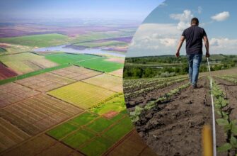 Що таке пай: розуміння основного терміна в аграрному секторі України