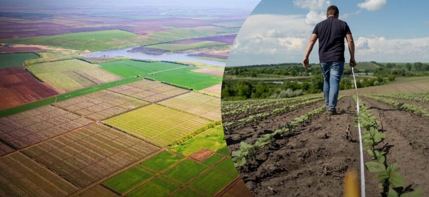 Що таке пай: розуміння основного терміна в аграрному секторі України