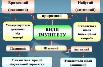 Імунітет: Основи, Види та Як Зміцнити Захисні Функції Організму