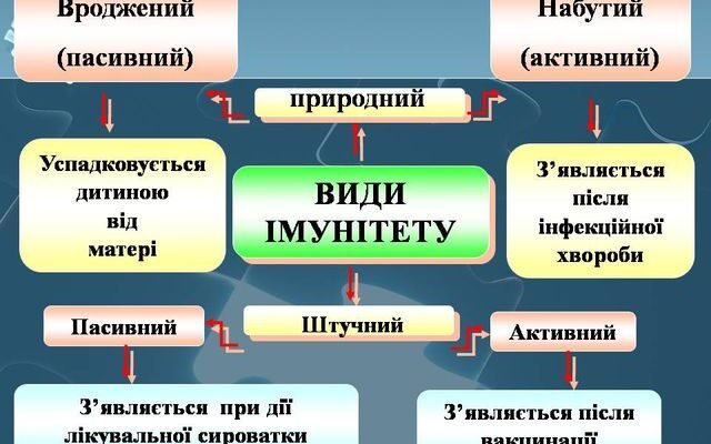 Імунітет: Основи, Види та Як Зміцнити Захисні Функції Організму