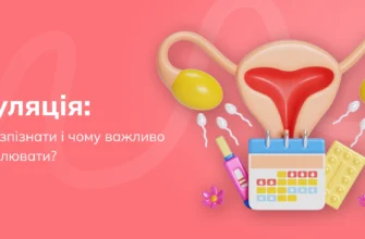 Що таке овуляція: ключові факти та значення для жіночого здоров’я