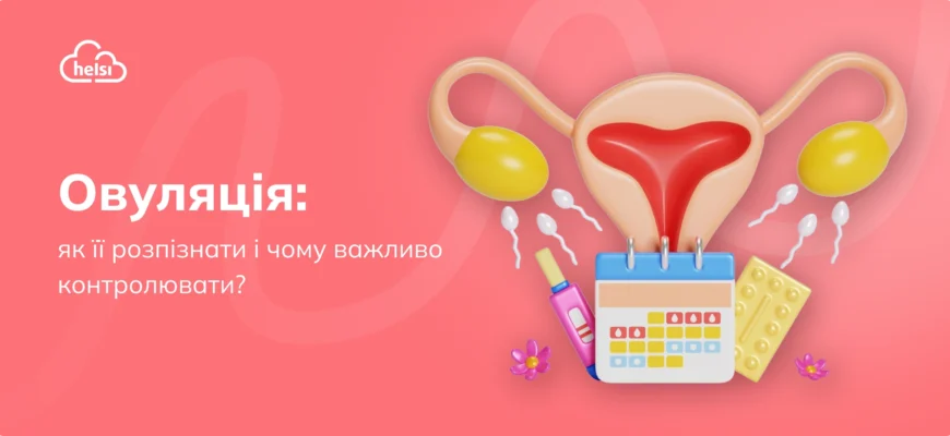 Що таке овуляція: ключові факти та значення для жіночого здоров’я