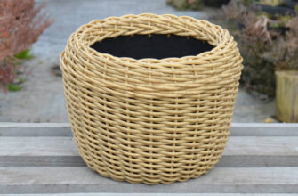 Що таке кашпо: визначення, види та використання у декорі інтер’єру