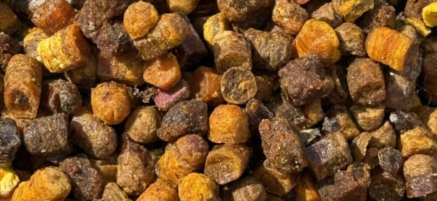 Перга: Натуральний Бджолиний Суперфуд для Здоров’я і Життєвої Сили