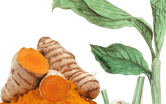 Відкрийте корисні властивості куркуми: що це таке та як вживати?